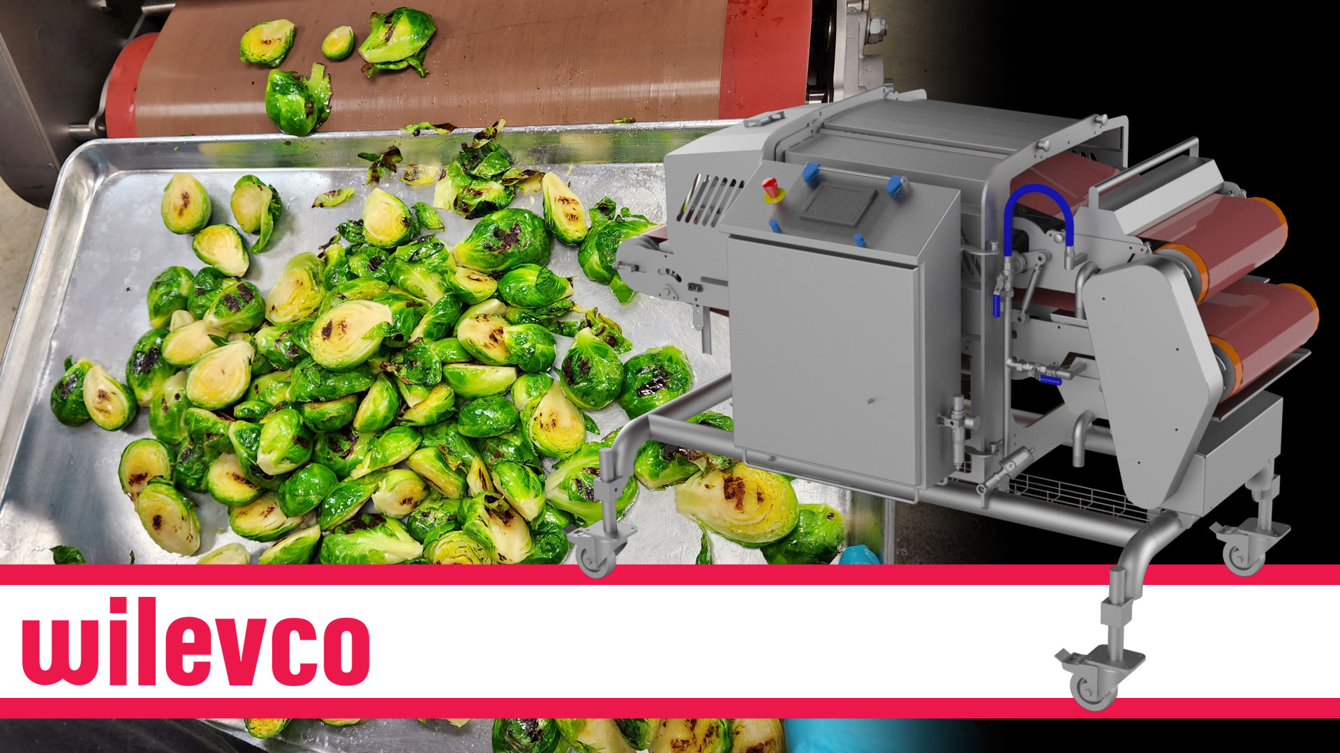 WILEVCO The HiTec Grill Marker with Brussels Sprouts